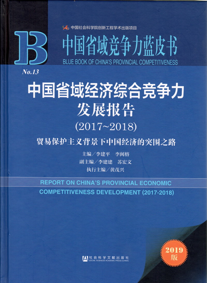 激情亚洲综合美中国省域经济综合竞争力发展报告（2017-2018）