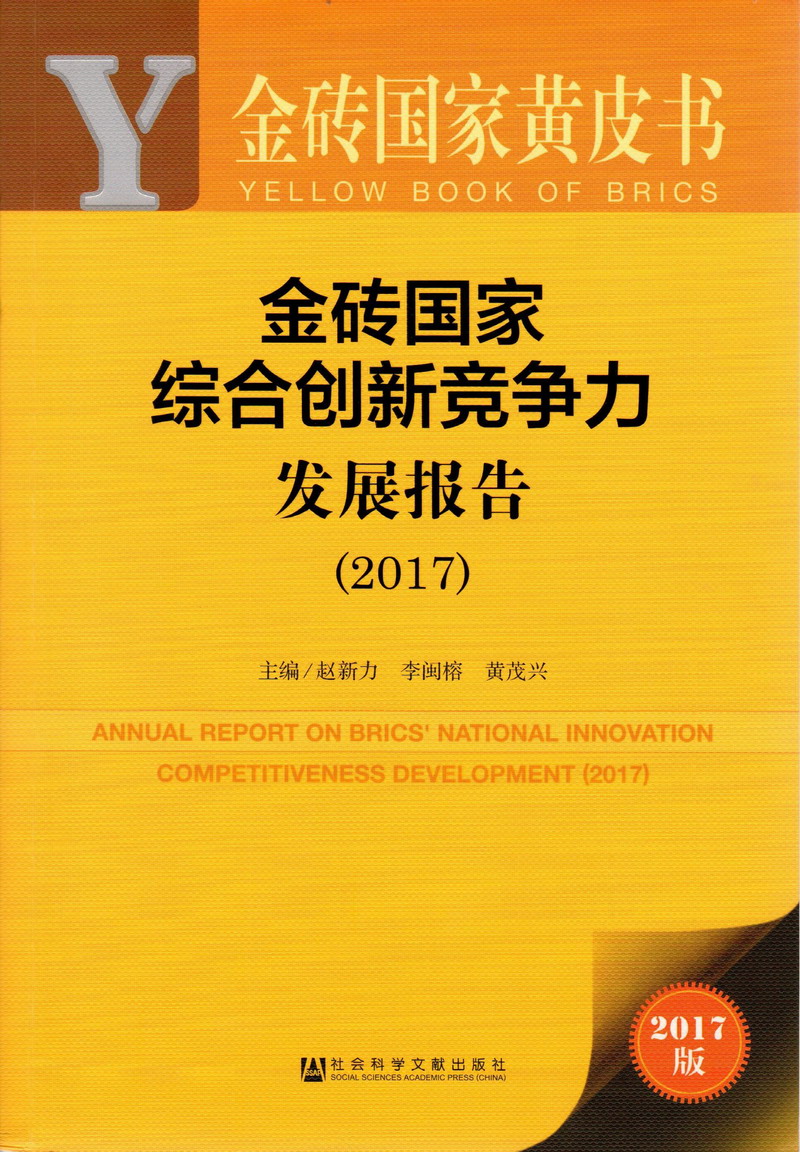 大鸡吧插入逼视频免费看金砖国家综合创新竞争力发展报告（2017）